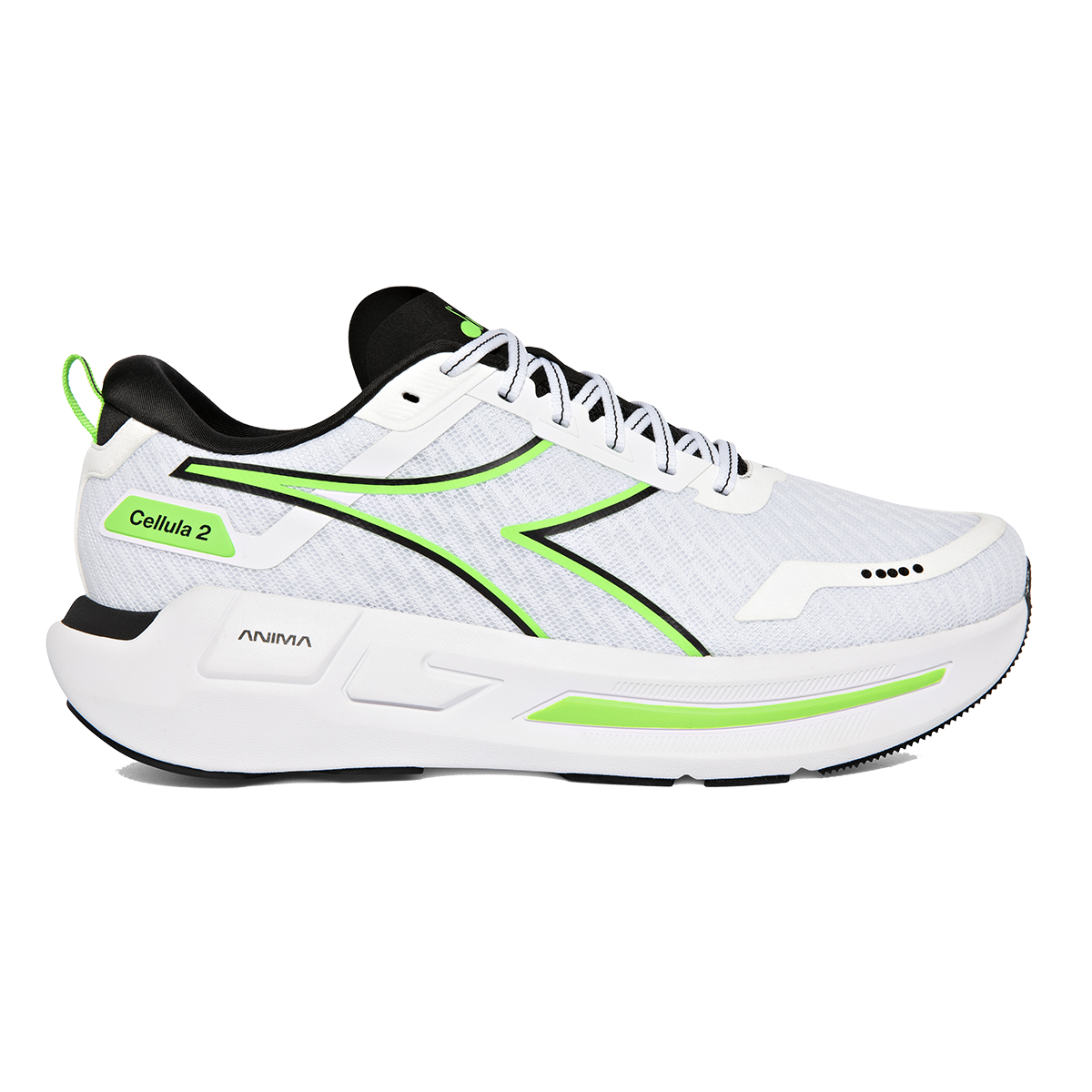 White - Black - Green Fl / D / 8